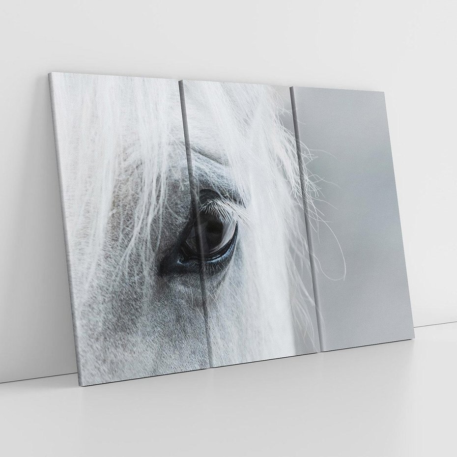 Obraz na płótnie 120x80 - Oko Mocy - czarno białe zdjęcie, zbliżenie makro na oko konia