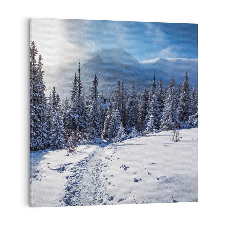 Obraz na płótnie 70x70 - Zimowe góry w lesie - góry, zima
