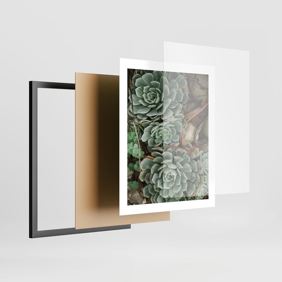 Plakat w ramie 40x50 - Zielona Uroda Sukulentów - sukulenty, zielone liście - rama czarna