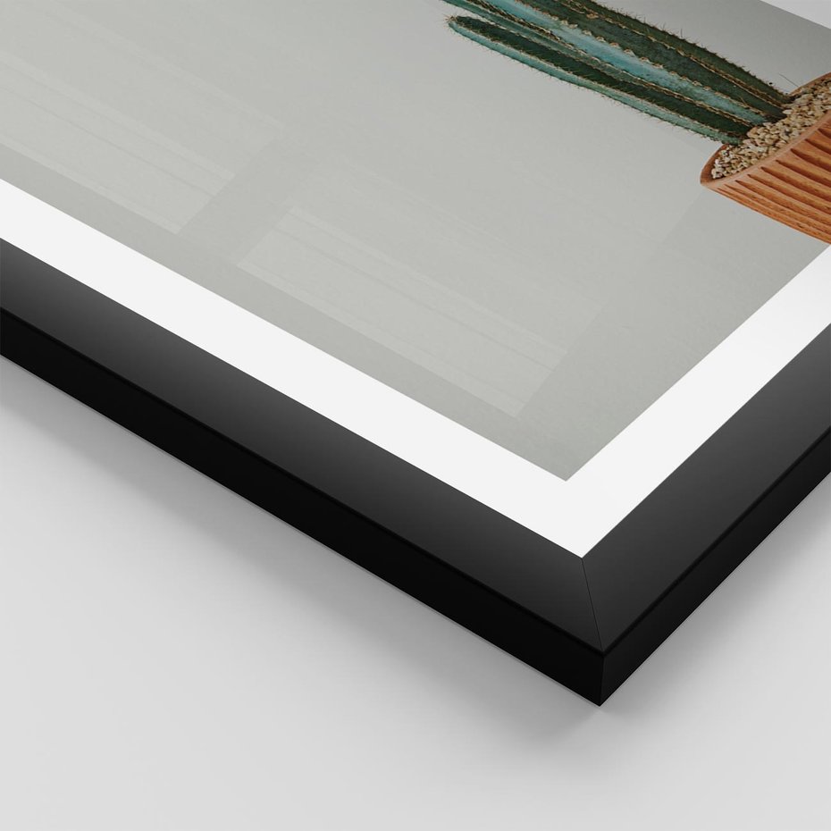 Plakat w ramie 50x70 - Zieleń i Subtelność - kaktusy, liście - rama czarna