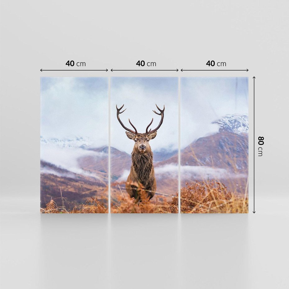 Obraz na płótnie 120x80 - Jeleń w Uśpionym Krajobrazie - jeleń na tle gór, ośnieżone góry