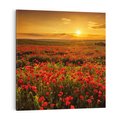 Obraz na płótnie 40x40 - Makowe uczucia - maki, kwiaty