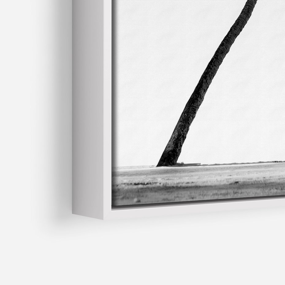 Obraz w ramie 80x120 - Samotne Palmy - czarno biała fotografia, dwie samotne palmy - rama biała