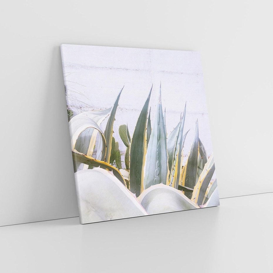 Obraz na płótnie 50x50 - Sukulentowe liście - liście, sukulenty