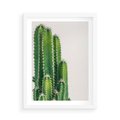 Plakat w ramie 50x70 - Minimalistyczne Kaktusy na Białym Tle - kaktusy, minimalistyczna fotografia - rama biała