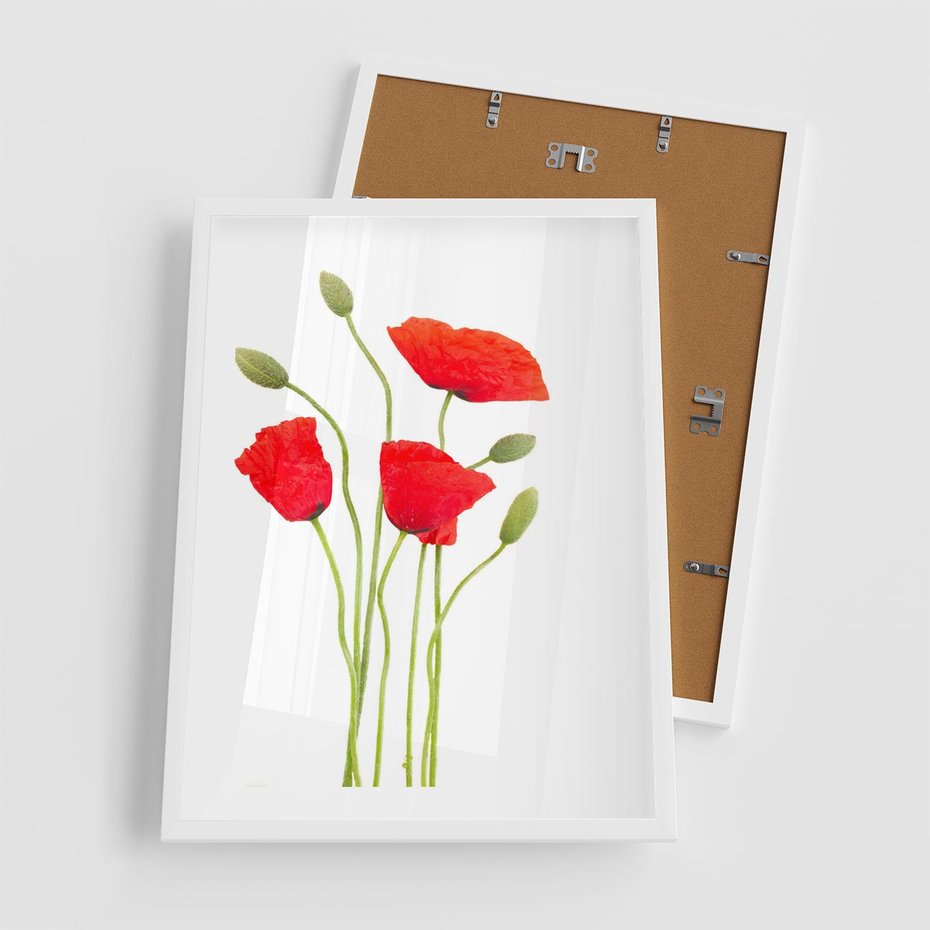 Plakat w ramie 50x70 - Pola maków w pełnym kolorze - maki, kwiaty - rama biała