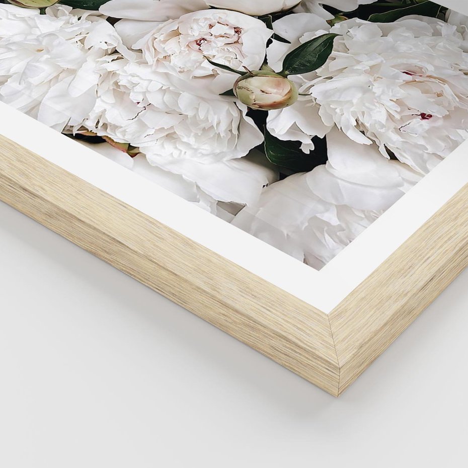Plakat w ramie 40x50 - Modne Białe Kwiaty - białe kwiaty, płatki - rama drewno