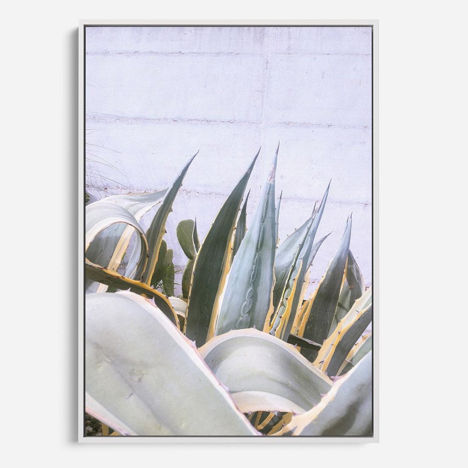 Obraz w ramie 80x120 - Sukulentowe liście - liście, sukulenty - rama biała