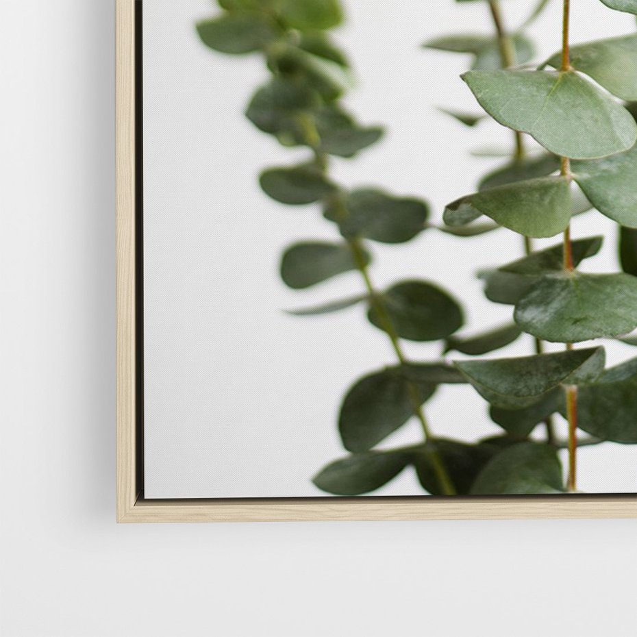 Obraz w ramie 70x100 - Żywa eukaliptusowa zieleń - eukaliptus, zielone - rama drewno