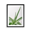 Plakat w ramie 30x40 - Zielone Piękno - aloes, liście - rama czarna
