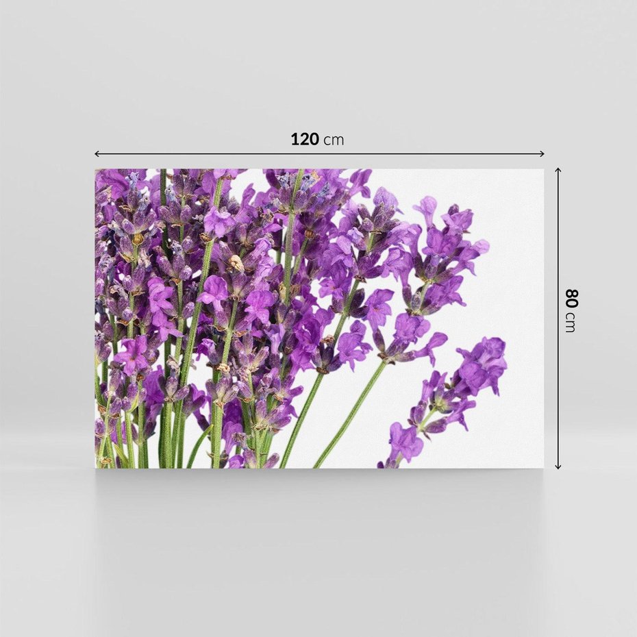 Obraz na płótnie 120x80 - Pola lawendy w pełnym rozkwicie - lawenda, kwiaty