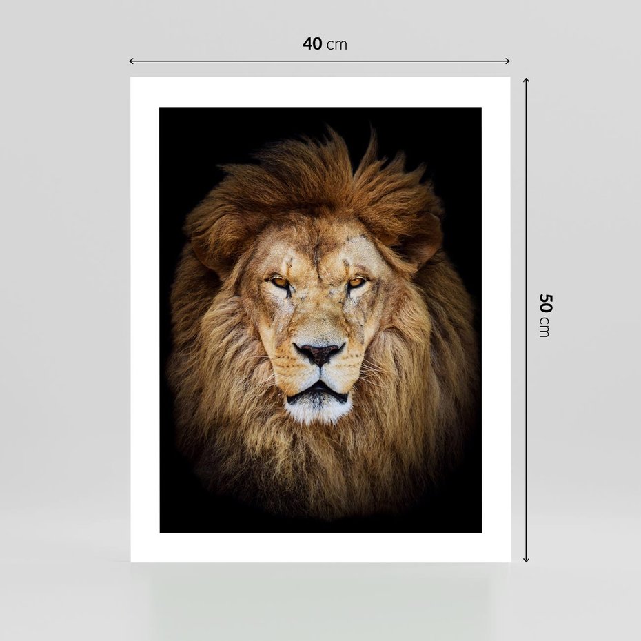 Plakat bez ramy 40x50 - Król zwierząt w majestatycznym stylu - lew, król