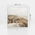 Obraz w ramie 80x80 - Nadmorskie Wydmy - fotografia, kolory sepii - rama biała