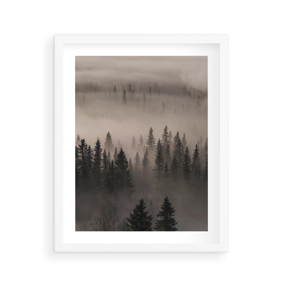 Plakat w ramie 40x50 - Mglista Opowieść Lasu - las, mgła - rama biała