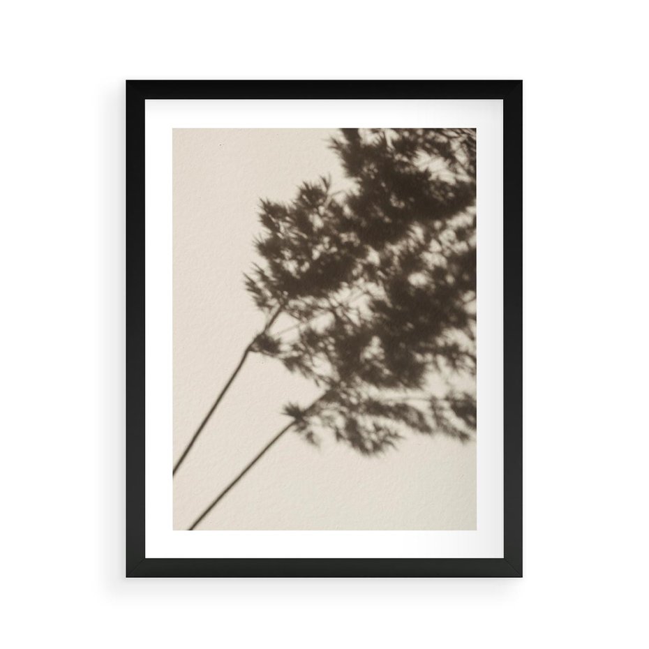 Plakat w ramie 40x50 - Tajemniczy Cień Traw - cień traw, na ścianie - rama czarna
