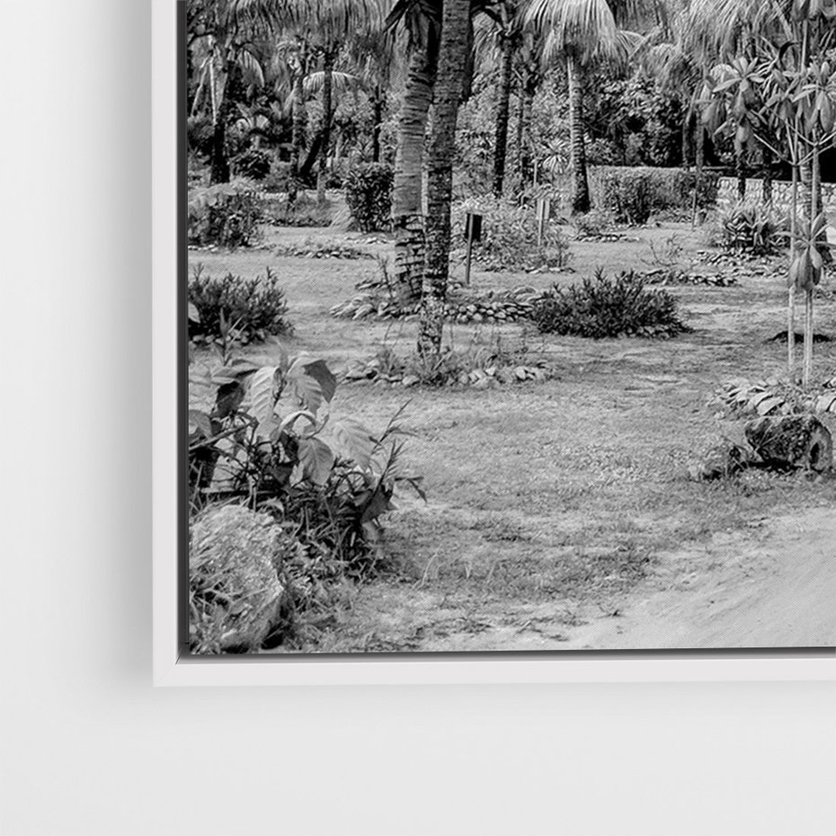 Obraz w ramie 80x120 - Mroczna Ścieżka Tropików - czarno biała fotografia, ścieżka pośród palm - rama biała