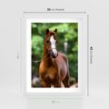 Plakat w ramie 30x40 - Portret Szlachetnego Konia - koń, portret - rama biała