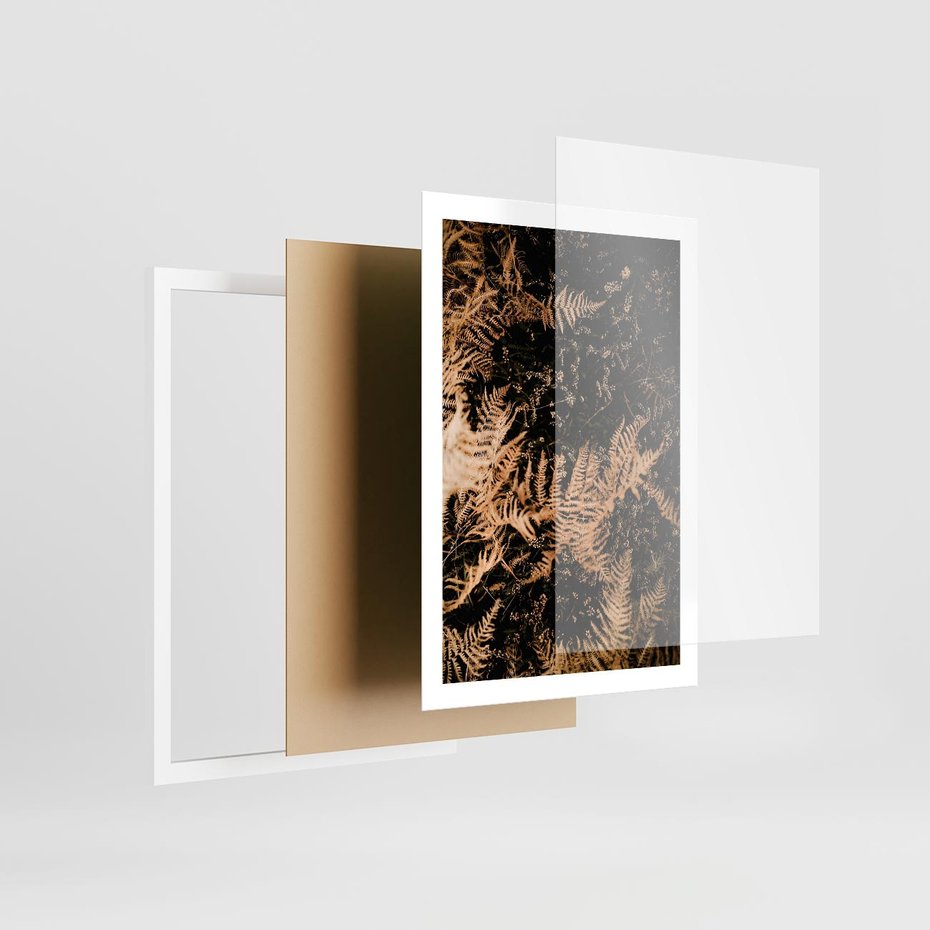 Plakat w ramie 50x70 - Jesienne Paprocie: Kolorowa Paleta Natury - paprocie, jesień - rama biała