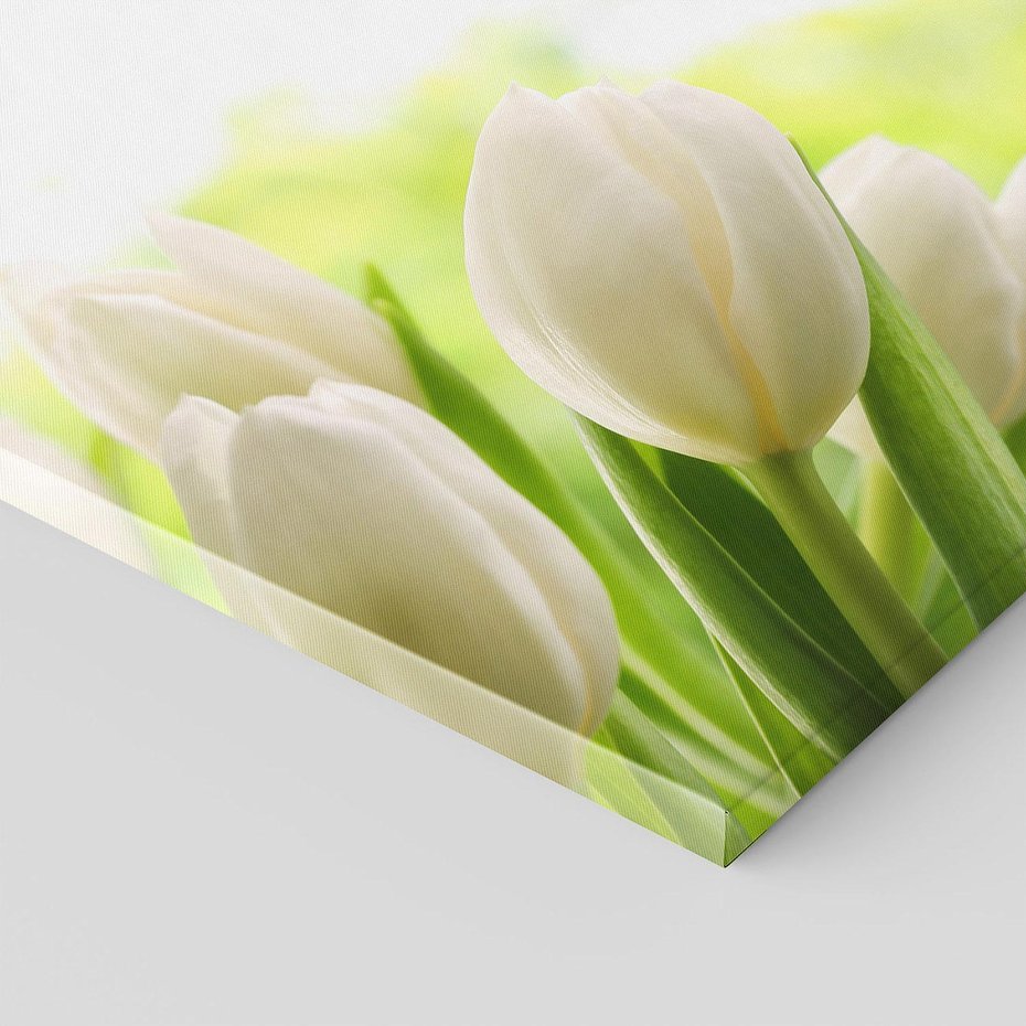 Obraz na płótnie 30x30 - delikatność kwiatów - tulipany, kwiat