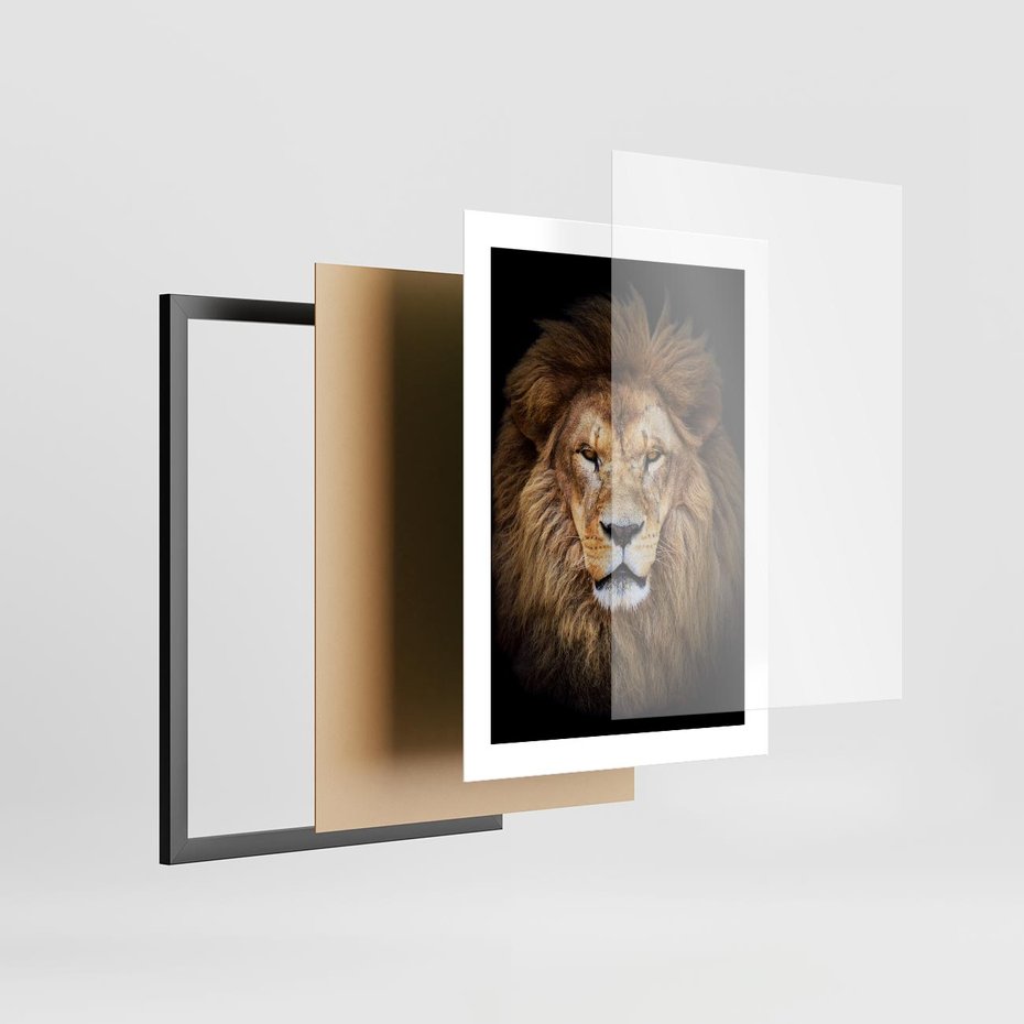 Plakat w ramie 30x40 - Król zwierząt w majestatycznym stylu - lew, król - rama czarna