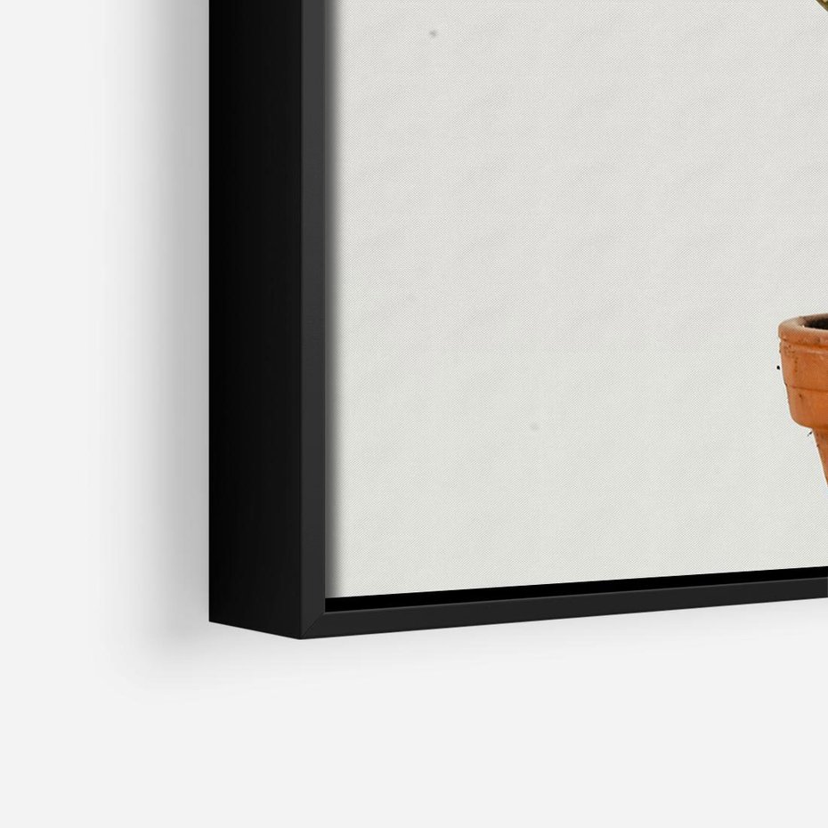 Obraz w ramie 70x50 - Kwiatowy taniec kaktusa - kaktus, kwiat - rama czarna