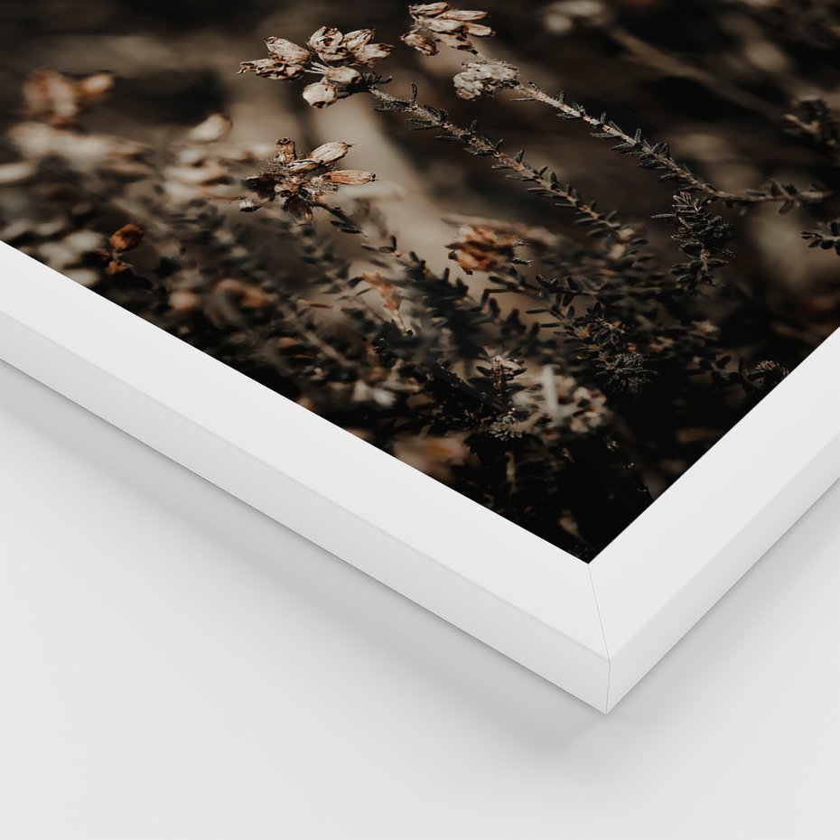 Zestaw obrazy w ramie 40x50 galeria - Jesień, łąką, boho, galązki - rama biała