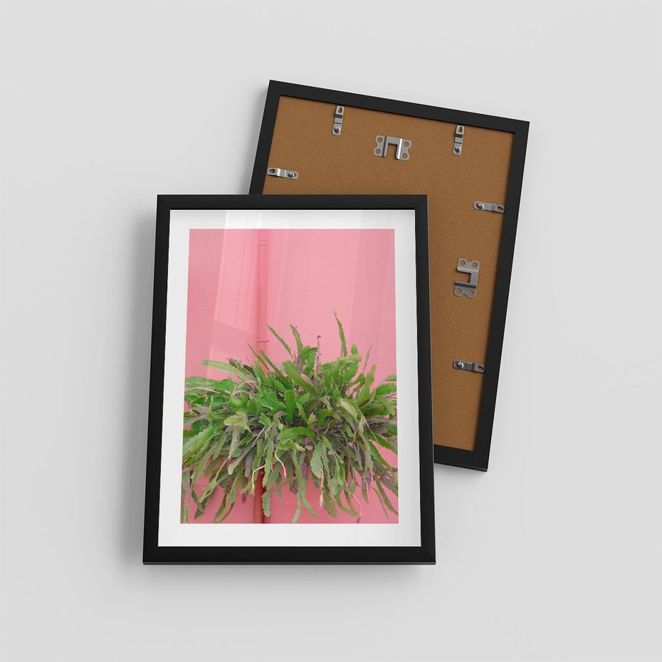 Plakat w ramie 30x40 - Fotografia Rośliny z Różowym Tłem - fotografia, zielona roślina na tle różwj ściany - rama czarna