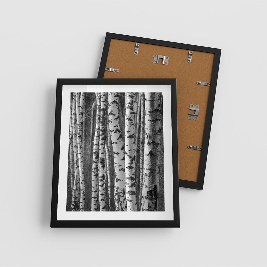 Plakat w ramie 40x50 - Kontrast Monochromatyczny - brzozy, czarno - rama czarna