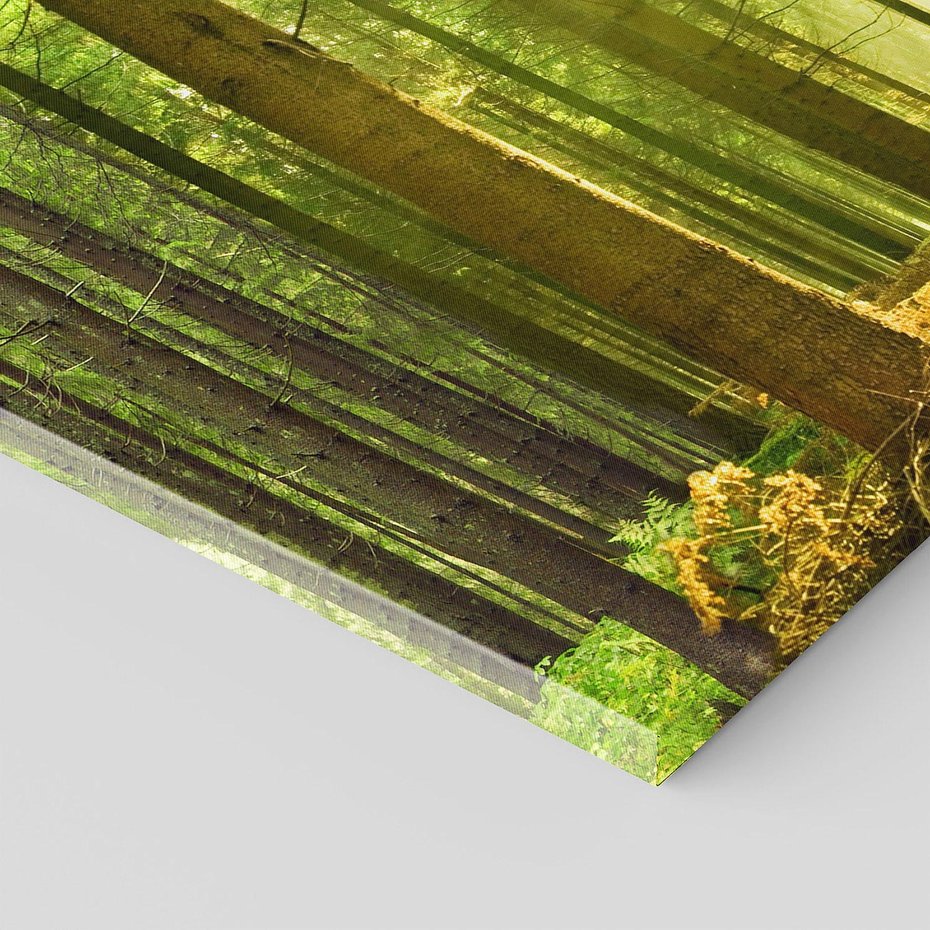 Obraz na płótnie 120x40 - Spokój wśród drzew: las w odcieniach zieleni - las, drzewa