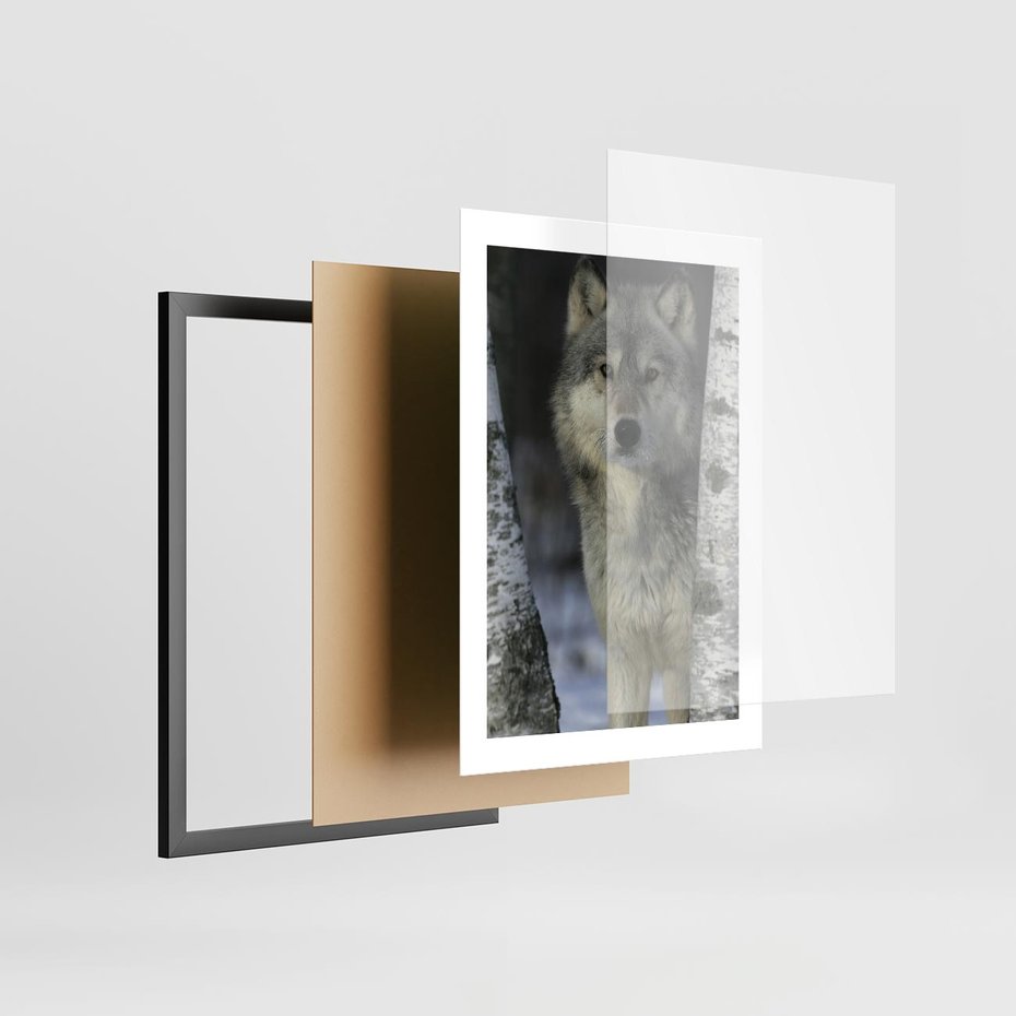 Plakat w ramie 30x40 - Wilk w Zimowym Lesie - wilk, las - rama czarna