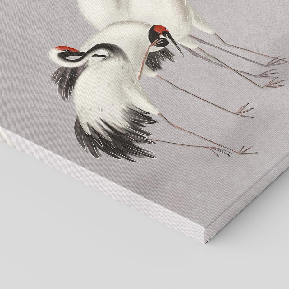 Obraz na płótnie 70x50 - Spojrzenie wstecz w pędzlu - szkic rysunek, japońskie żurawie