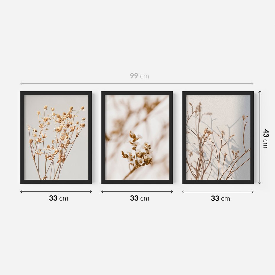 Zestaw obrazy w ramie 30x40 galeria - Suche, kwiaty, boho, trawy - rama czarna