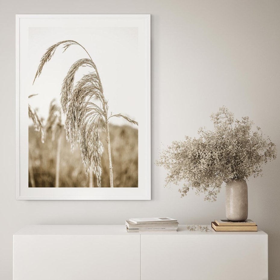 Plakat bez ramy 30x40 - Ujęcie Suchych Traw - suche trawy, zbliżenie