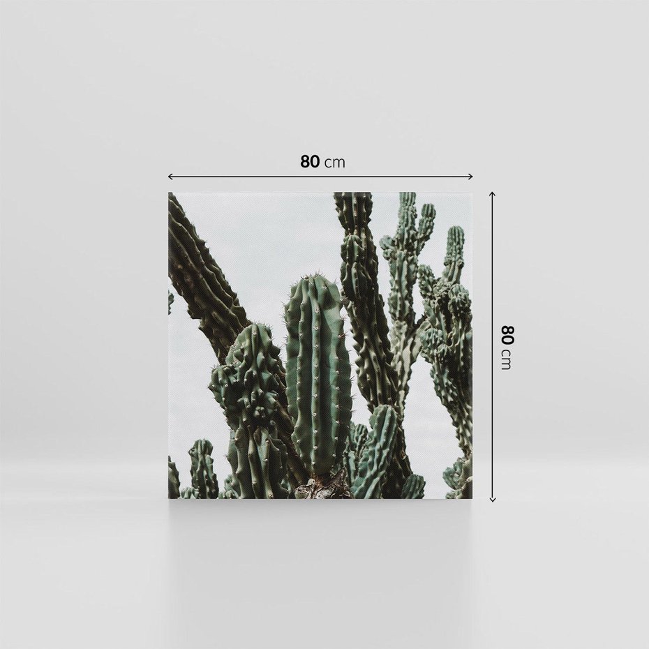 Obraz na płótnie 80x80 - Boho oaza wśród kaktusów - kaktusy, pustynia