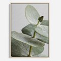 Obraz w ramie 80x120 - Eukaliptusowa zieleń - eukaliptus, zielone - rama drewno
