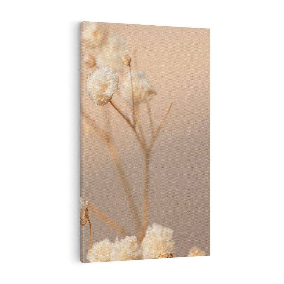 Obraz na płótnie 70x100 - Subtelna gipsówka - gipsówka, suche