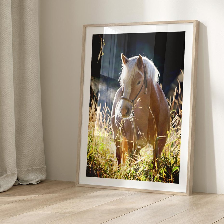 Plakat w ramie 40x50 - Spotkanie konia na łące - koń, łąka - rama drewno