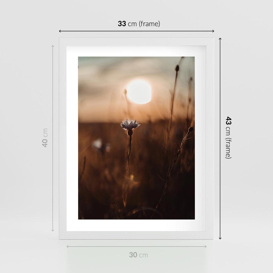 Plakat w ramie 30x40 - Spokój łąki pod zachodem słońca - zachód, słońca - rama biała