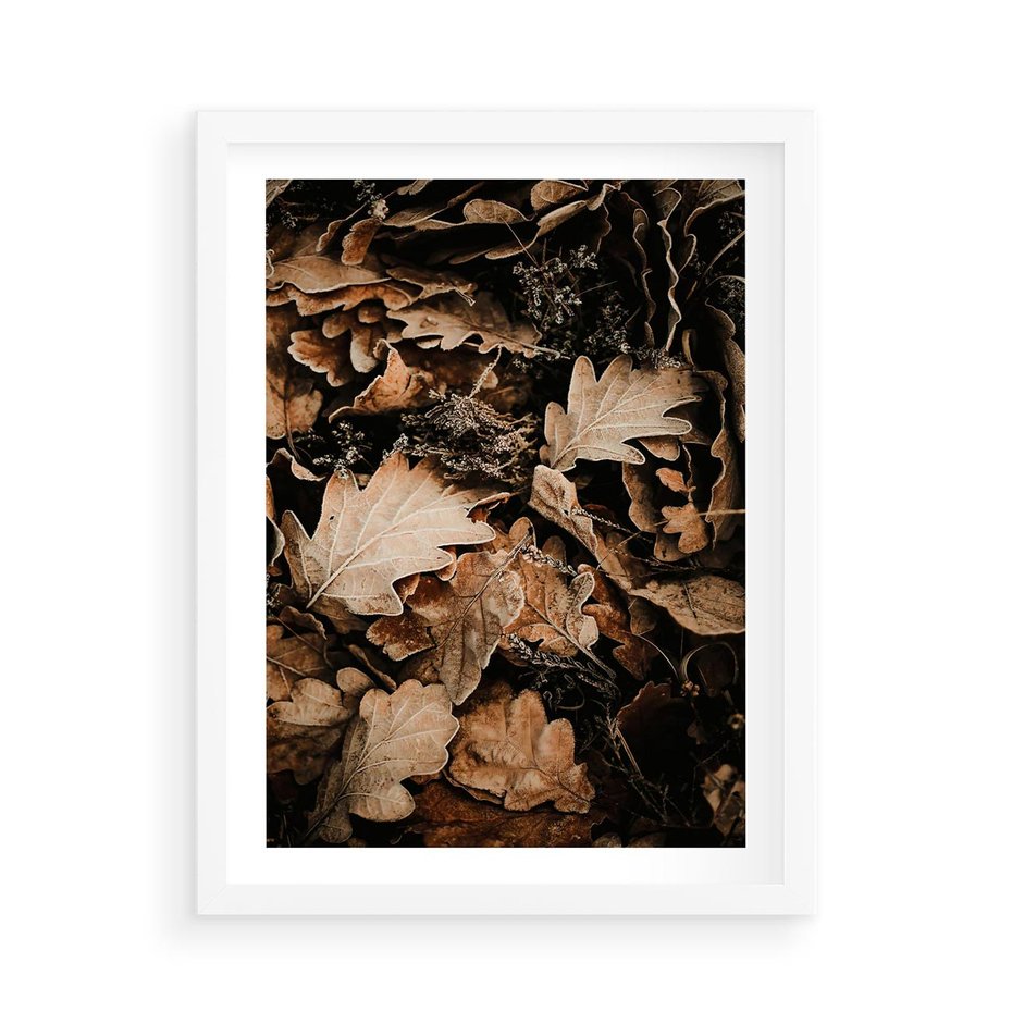 Plakat w ramie 50x70 - Jesienna Melodia: Liście i Szyszki - suche liście, szyszki - rama biała