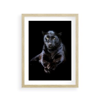 Plakat w ramie 30x40 - Czarna pantera: majestat i siła - czarna, pantera - rama drewno