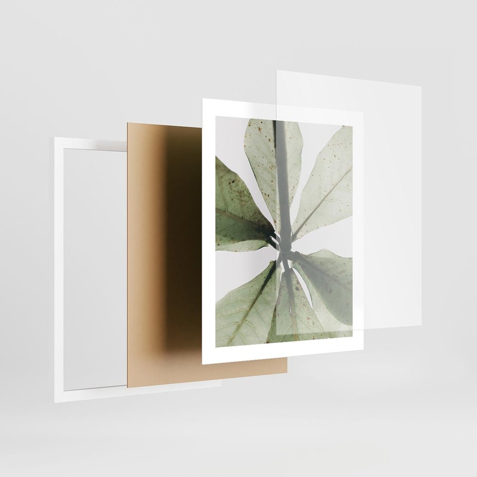 Plakat w ramie 40x50 - Jasna Zieleń w Makro - makro zdjęcie liści, jasna zieleń - rama biała