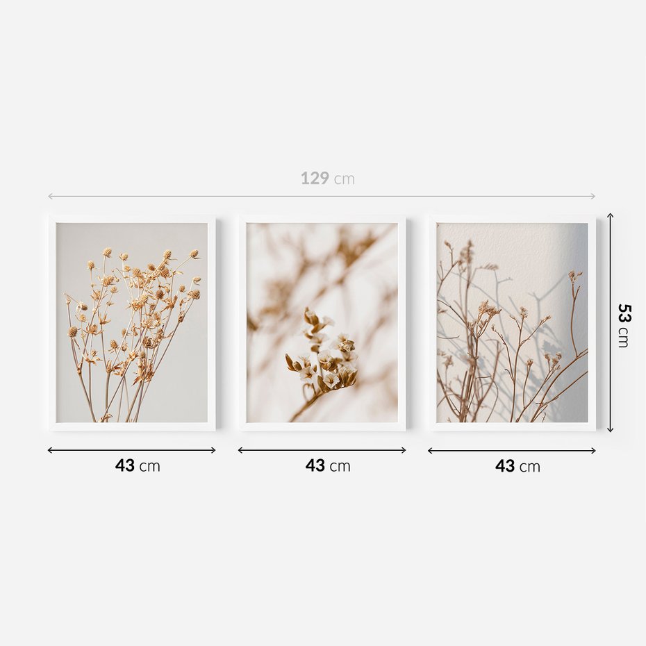 Zestaw obrazy w ramie 40x50 galeria - Suche, kwiaty, boho, trawy - rama biała