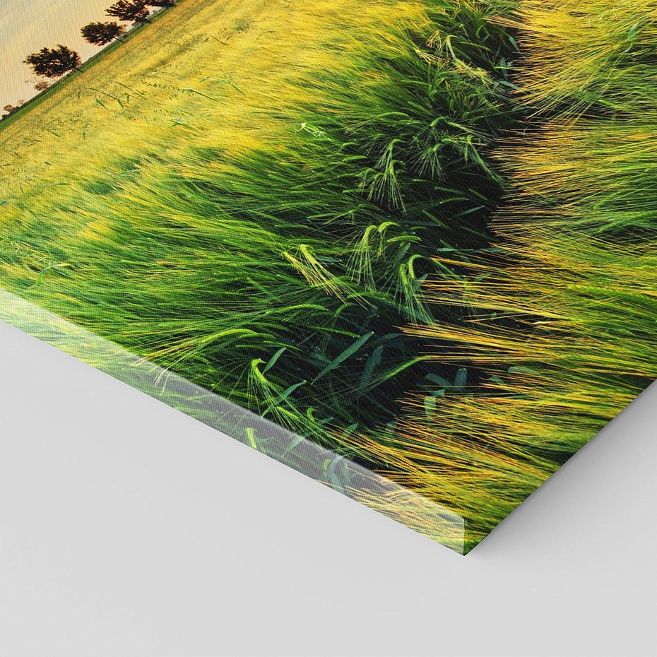 Obraz na płótnie 100x50 - Idylliczna łąka - łąka, natura