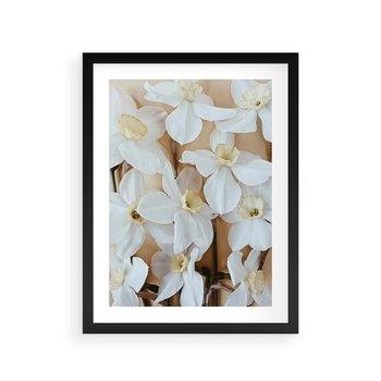 Plakat w ramie 50x70 - Białe Narcyzy - narcyzy, kwiaty - rama czarna