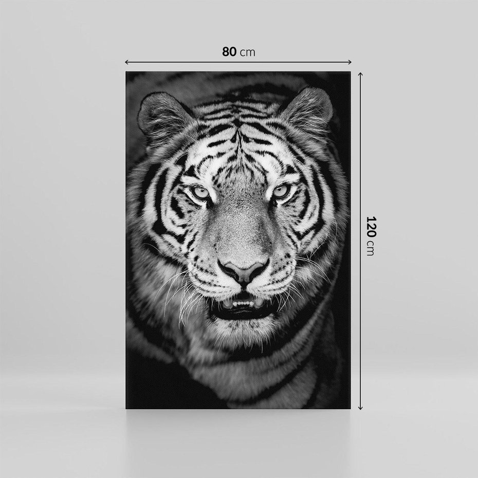 Obraz na płótnie 80x120 - Tygrys Czarno-Biały: Siła i Delikatność - tygrys, czarno