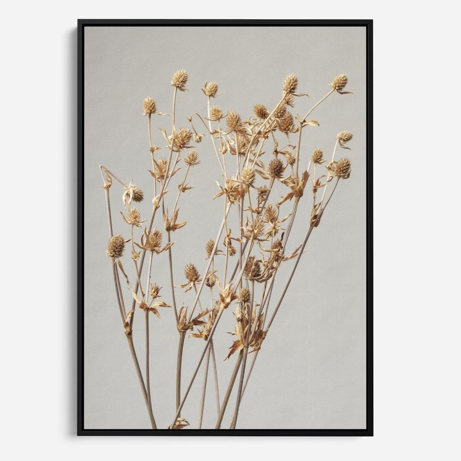 Obraz w ramie 50x70 - Delikatne gipsówki - gipsówka, suche - rama czarna