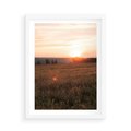 Plakat w ramie 50x70 - Łąka we Wschodzącym Słońcu: Magia Poranka - łąka, krajobraz - rama biała