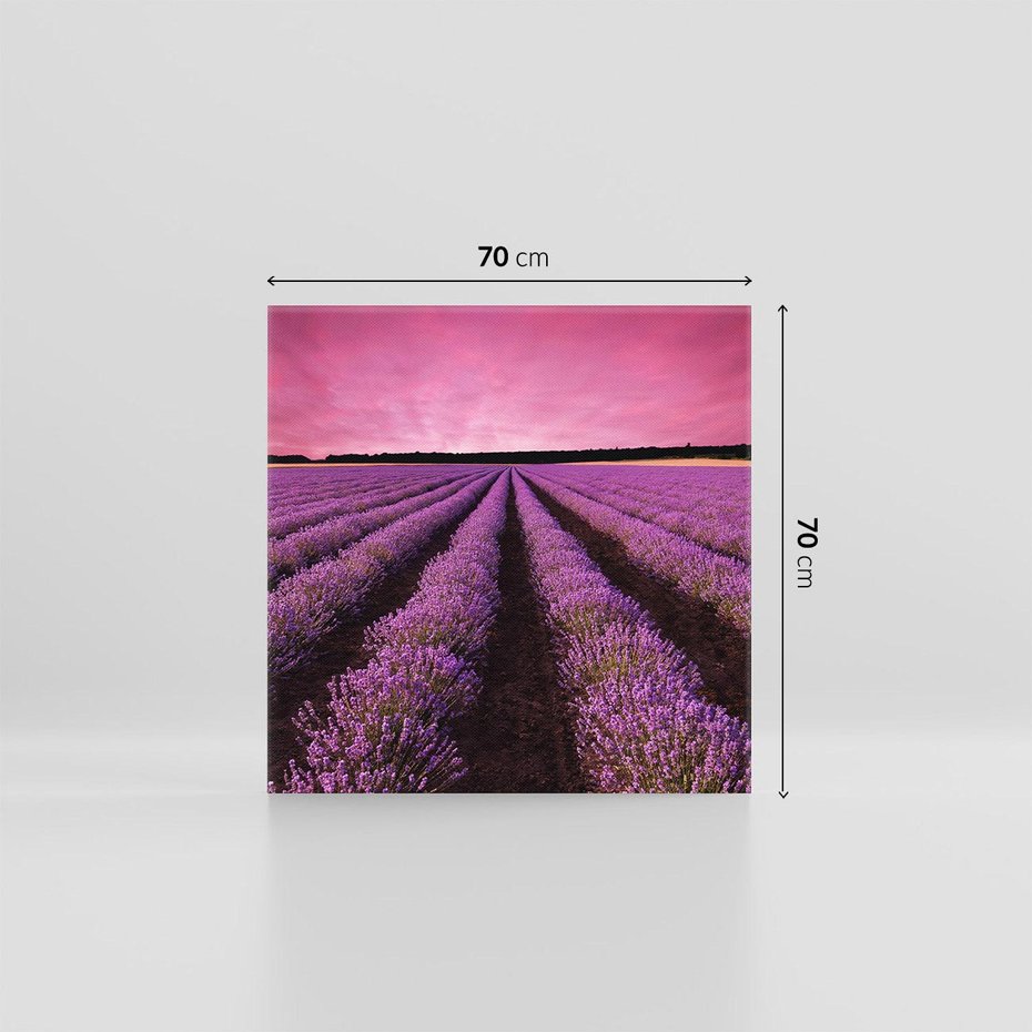 Obraz na płótnie 70x70 - Pola lawendy w pełnym rozkwicie - Lawenda, krajobraz
