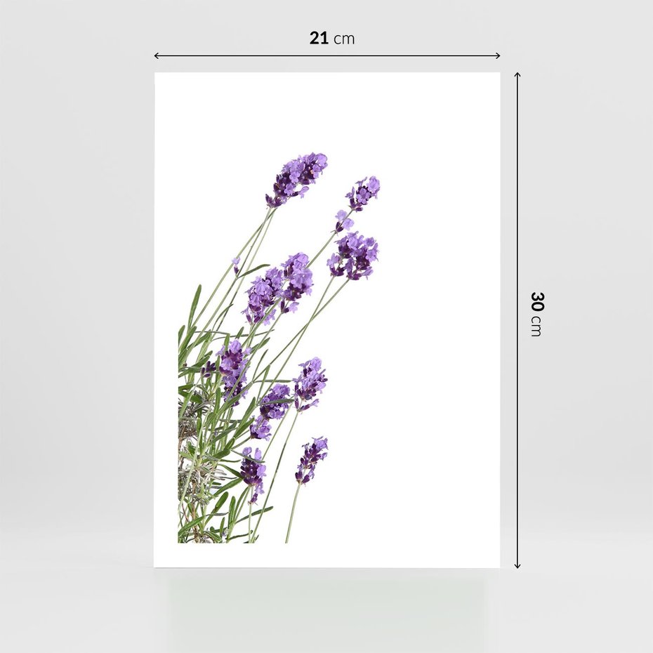 Plakat bez ramy 21x30 - Delikatny Urok - lawenda, kwiaty