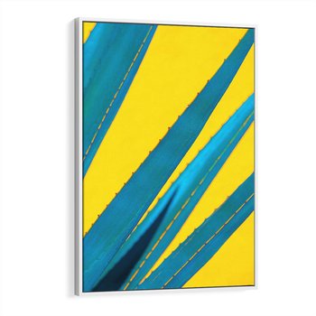 Obraz w ramie 50x70 - Świeżość Natury - aloes, liście - rama biała